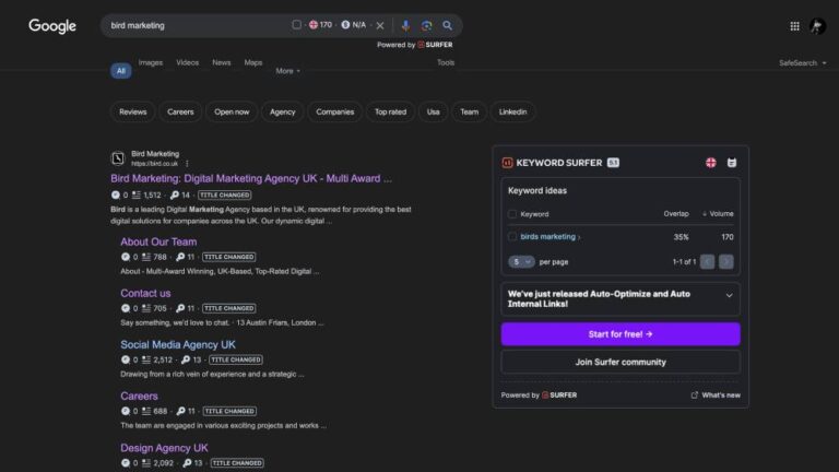 20+ Best Keyword Research Tools Free & Paid [Verified 2025 ] - Bird